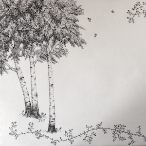 line drawing of birch trees on paper