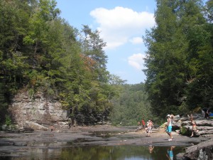 flat, wide creek water leading to a cliff edge; framed by tall trees; puffy bright sky