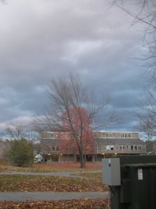 bare branches, red tree behind, blue-gray clouded sky