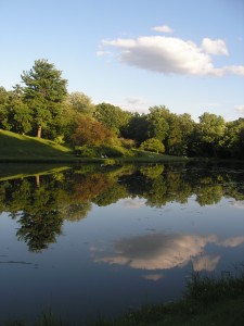 Vassar's sunset lake in July, water still and perfectly reflecting the green trees and a puffy white cloud