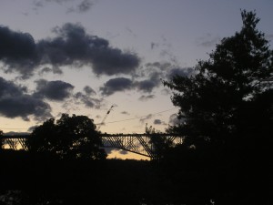 silhouettes of bushy trees against a pastel sky specked with clouds