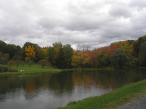 glossy lake reflecting the bushy lines of green, yellow, orange, and red trees on the far bank