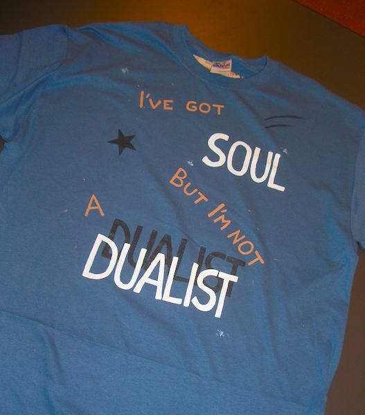 t-shirt with text I've got soul but I'm not a dualist
